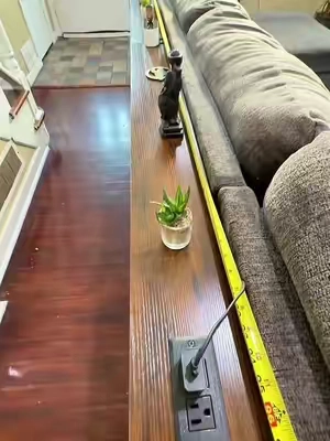 Stop letting that empty space behind your couch go to waste. ✨ This Huuger Narrow Console Table instantly adds storage, style, and convenience with a slim design that fits behind sofas, plus built-in charging outlets and USB ports to keep your phone, tablet, and lamps powered without messy cords. Perfect for apartments, living rooms, game rooms, or anyone looking for a modern space-saving furniture upgrade. If you’ve been searching for a behind couch table, sofa console table, or narrow entryway table, this is the home organization find you’ve been waiting for. #BehindCouchTable #ConsoleTable #HomeOrganization #ApartmentFinds #TikTokMadeMeBuyIt 