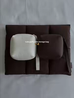 everything in one bag, effortless and clean🥹🤎 #storagebag #organizer #minipouch #pouch #pouchorganizer 