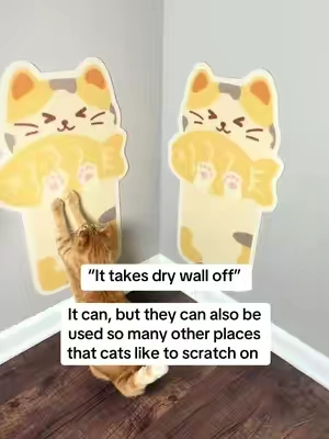 You can use them on doors, walls, carpet, windows, inside a closet, side of the couch etc. doesn’t have to be used on the wall! Cats are cats, use it where you know they are scratching #catscratcher #catmomlife #catenrichment #catmusthaves #catproducts 