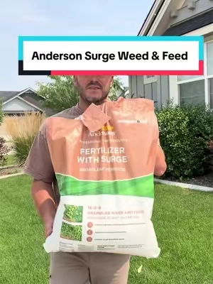 Anderson Surge Weed & Feed Fertilizer will help you rid your lawn of weeds while also making it look lush and green.  #lawncare #lawntok #postemergent #fertalizer 