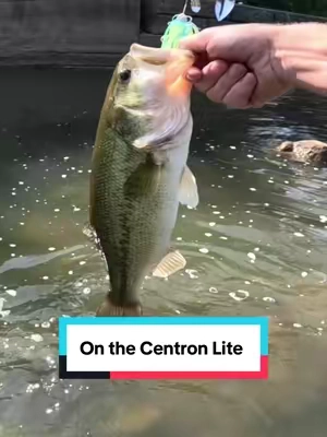 One of my Favorite Beginner friendly Rod and Reel Combos @KastKingUSA #fishing #rodandreel #Bass #baitcastercombo #Summervibes 