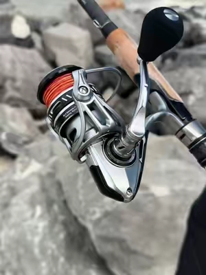 @Piscifun Fishing #saltwater #fishing 