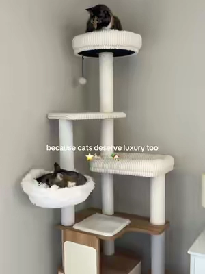 who said cat trees had to be ugly✨ finally found a cat tower that fit our home aesthetic AND they’re obsessed with! It has a ton of scratching spots and places to sleep for everyone- this was the quality upgrade we should’ve gotten sooner because no one should have to replace their tower every year! #fyp #cats #catsoftiktok #cattree #cattower 