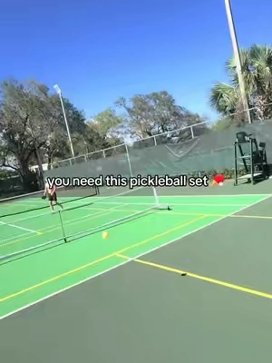 #pickleball #fyp #viral 