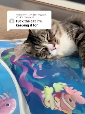 Replying to @☆⋆｡𖦹°‧★𝓢1𝓵𝓵𝔂𝔂☆⋆｡𖦹°‧★ A Cooling Mat That Can Handle Cat Claws#catpick #cattoy #pettoys #toysforcats 