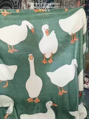 For my goose loving friends 👀🪿🤭✨ #tiktokmademebuyit #cozyseasoniscoming #homeessentials #gooseblanket #porchgoose 