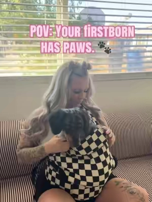 My baby girl isn’t here yet, so the weenies volunteered to help me practice. 😂🐶 Safe to say the weens give this baby carrier their official seal of approval! 🤍 #firsttimemom #babycarrier #babyessentials #tiktokmademebuyit #babyprep 