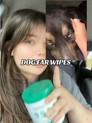 #dogowners #doglovers #dogownersoftiktok #dogearcleaning #dogearwipes 