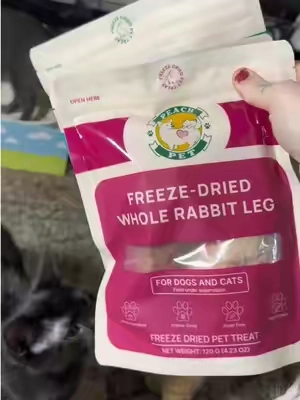 The cats LOVE these treats so so much 🩷 #cats #catsoftiktok #catlover #cattok #PetsOfTikTok 