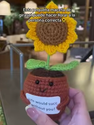 You are my sunshine✨ #youdidit #sunflower#tiktokmademebuyit #trending