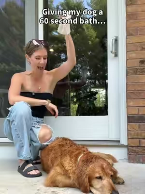 This is the best pet hack ever…👀  @HICC Pet US 