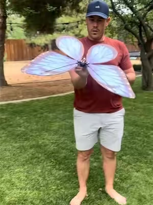 More gorgeous butterflies to choose from @Winktoys  #butterfly #flyingtoys #remotecontrol #butterflytoy #tiktokshopcreatorpicks 