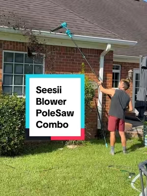 This is one of my favorite tools for the yard. #blower #polesaw #chainsaw #seesii 