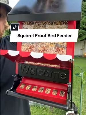 Squirrel proof bird feeder that will keep your birds coming back for more! #wildpark #birdfeeder #squirrelproofbirdfeeder #birdwatching #tiktokshopcreatorpicks 