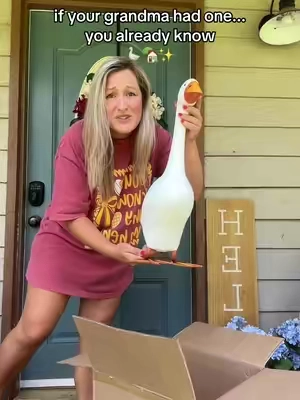 The viral porch goose is back and it's the cutest way to decorate your front porch all year long! 🪿 Dress it up for every season, holiday, and celebration. If you've been thinking about starting a porch goose tradition, this is your sign! #porchgoose 