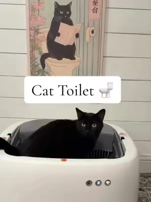 Pretty neat automatic litter box. It’s open-top with no globe, so it feels more like a traditional litter box… except you don’t have to scoop poop. 🤣 #automaticlitterbox #litterbox #catsoftiktok #catmom #Tiktokshopfinds 