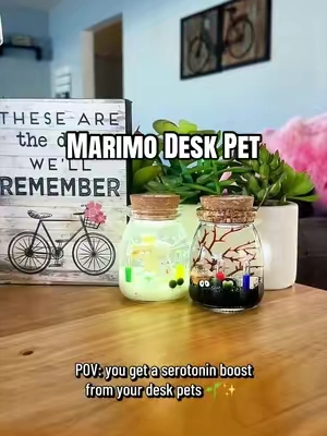 The cutest little desk pet for anyone who wants something calming, easy to care for, and actually soothing to look at 💚 #deskpet #deskdecor #marimomossball #PlantLover #watergarden 