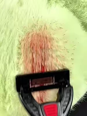If you want a super bald puss😺 #BikinTrimmer#hygienetips#TiktokMadeMeBuyit #TikTokShopStockUp #WeeklyDeal#SummerWins #tiktokshopmemorialday #DealsForYouDays 