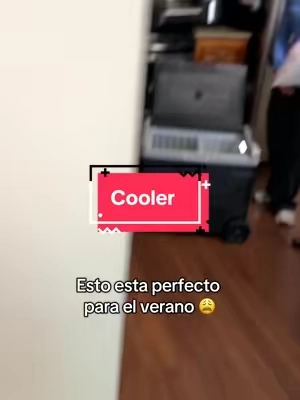 Nos hace la Vida mas facil🥰 #carcooler #cooler #hielera #hieleraconpatas 