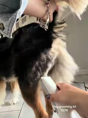 The number one grooming kid that I recommend that I have personally been using for the last three years. #dogsoftiktok #doggrooming #doggroomer #petgrooming #dogvacuum 