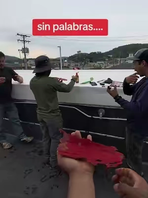 #paratiiiiiiiiiiiiiiiiiiiiiiiiiiiiii #tittokshop 