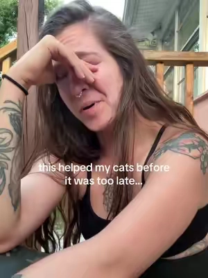 So scary… I’m so glad we found this stuff for our kitties ❤️ #catlover #catmom #catbehavior 