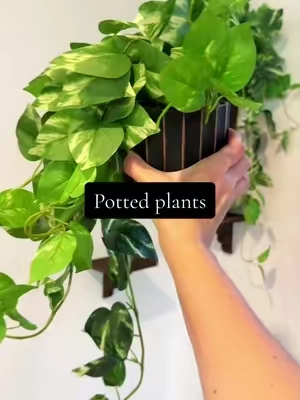 bc your plant friends will never know their fake 😏 #pottedplants  #fakeplants #plantwall #artificialplants  #homedeco 