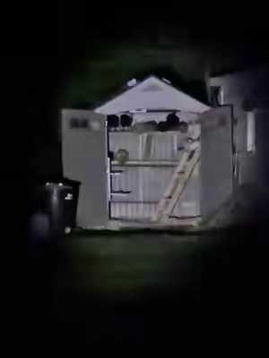 #flashlight #darkoutside #nighttime #flashlights #lantern 
