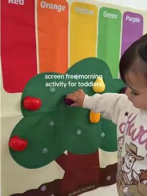 playtime that helps toddlers learn colors, fruits & matching skills 🍇🍎🍐 #screenfreeplay #educationaltoys #toddlertoys #toddlerfinds #earlylearning 