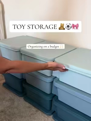 Cute + functional + affordable ✨ #momtok #toyorganization #toyorganization #organizedhome #toyroom 