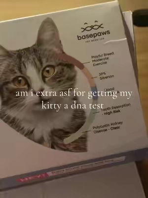 🐈‍⬛ 🐈‍⬛ #kitty #catmom #dnatest #cat #xyzbca 
