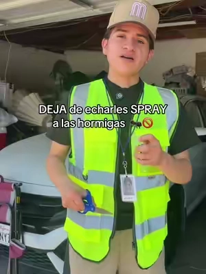 Con esto las hormigas desaparecen rápido! 
