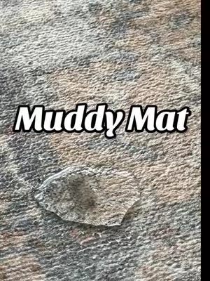 @Muddy Mat area rug #muddymat #arearug #washablerug #washablerugs #tiktokshopsummersale 