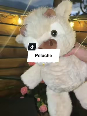 Peluche vaquita que corre 🥹✨ #peluchedevaquita #vaquitaquecorre #peluchevaquitaquecorre #mipeluchefavorito 