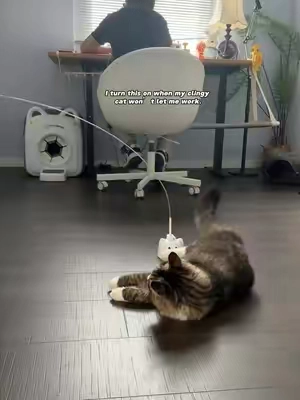 My cat finally stopped walking all over my keyboard.#catpick #cattoy #cattoy #toysforcats 