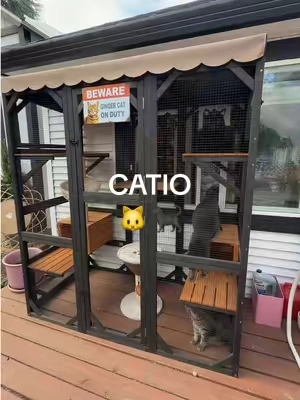 Replying to @venom.le.le if my cats could take one thing with them to a deserted island it would definitely be this catio. #catio #catlover @Aivituvin ♥️ thank you for giving us such a great daily routine 