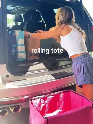 me and my five trips to the car are no longer friends