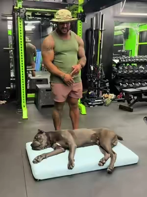 Great way to keep your dog cool and comfortable all summer #coolingbed #dogcare #petcare #dog #petcare 