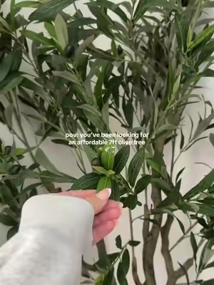 so cute and fits this area perfectly ✨🫒 #tiktokshopsummersale #tiktokshophome #olivetree #olivetreedecor #tiktokshophomefinds 