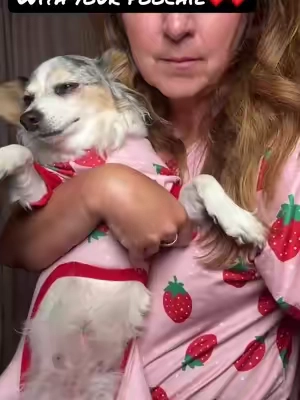 Imagine the smiles, the picture of you and your dog in matching pajamas! #pajamas #dogs #dogmom #tiktokshopcreatorpicks #dogpajamas 