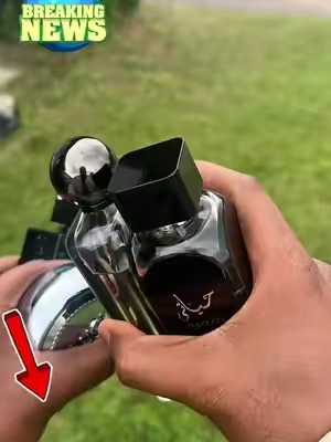 #creatorsearchinsights #cheapperfumesthatlastallday #fragranceswomenlove #perfumestoget #perfumecombo 