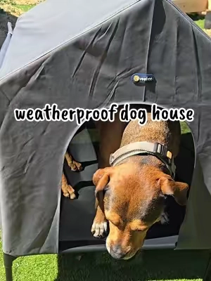 🐾🏠 Doggy condos are still affordable.... hurry! 🤣🫰🏽 @KINGSYARD.global #doghouse #dogbed #dogbeds #dogmom #spoileddog 