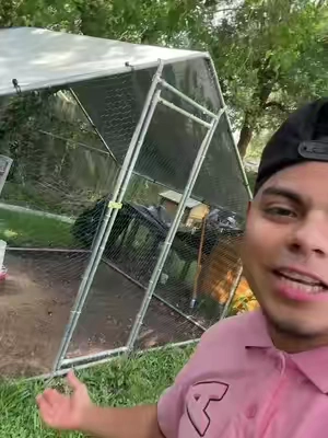 #chicken #coop #garde #tiktokshop 