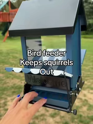 🤍🤍 #birdfeeder 