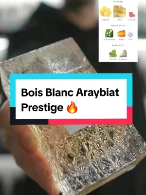 The new Bois Blanc from Araybiat Prestige 🔥 #smellgood #fragrancetiktok #perfumetiktok #fragrances #cologne 