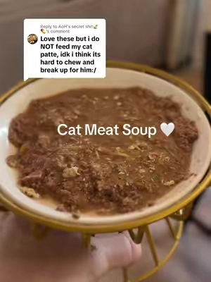 Replying to @AoH’s secret shit🍃💊  Hope this helps 🤍 my cats love all the flavors when I make it like this. This food is definitely great for picky cats 🤍 #catfood #catsoftiktok #cattreat #catmom #catowners @Solid Gold Pets 