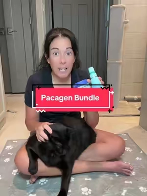 The Pacagen cat allergen bundle works from two directions. The food topper is added to your cat’s meals to help reduce the active allergen they produce, while the spray helps neutralize allergens already sitting on couches, rugs, bedding, and other soft surfaces around your home. It’s a practical routine for people who love their cat but could do without the sneezing, itchy eyes, and constant cleaning. #catallergies #pacagen #catmusthaves #petallergens #tiktokshopfinds