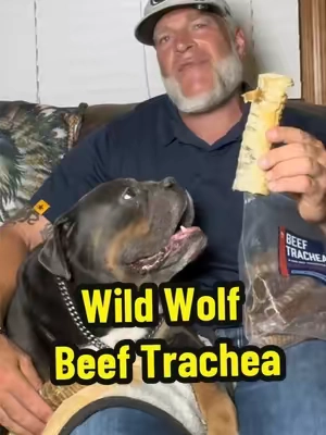 Great for Dogs Joint Health! Wild Wolf 6” Beef Trachea (1 Pound) 100% Natural Dog Chew Treats #naturaldogtreats, #dogjointhealth, #doghealth, #tiktokshopsummersale, #TikTokShopCreatorPicks 