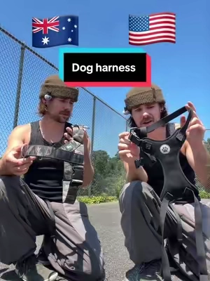 This changed everything! #wearedogfriendlyco #dog #pet 