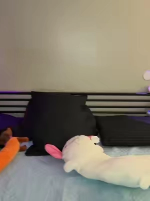 #almohadasviralesdetiktok #tiendatiktok